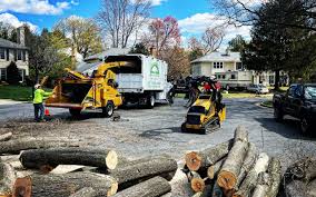 Leaf Removal in Frisco City, AL