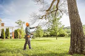 How Our Tree Care Process Works  in  Frisco City, AL